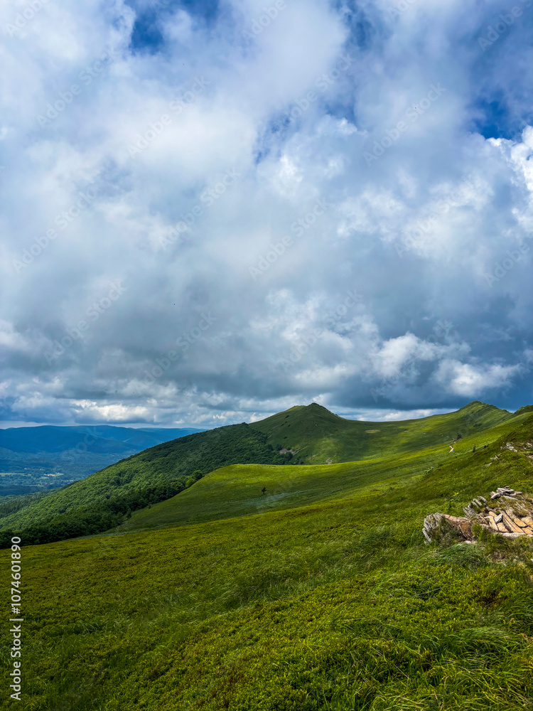 Fototapeta premium Beautiful landscape of summer mountains