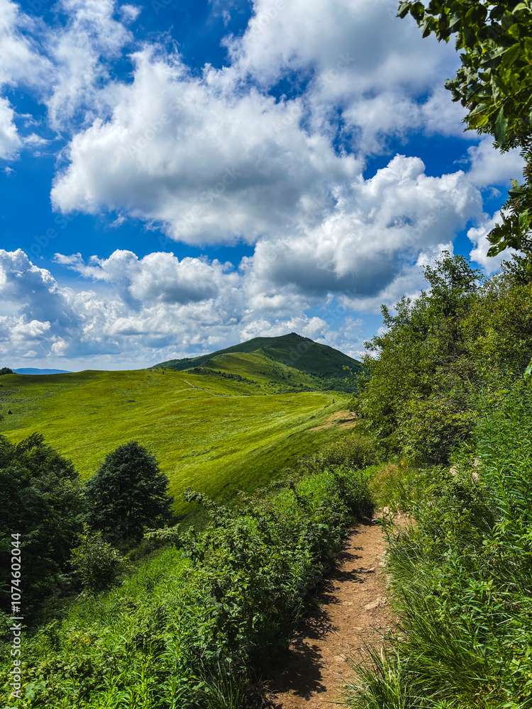 Beautiful landscape of summer mountains Beautiful landscape of summer mountains