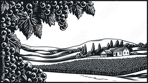 Vineyard valley landscape. Brunches of grapes in the foreground Vine hills little farm house on the back. Rural nature agriculture harvest concept. Black and white simple linocut flat style. Vector