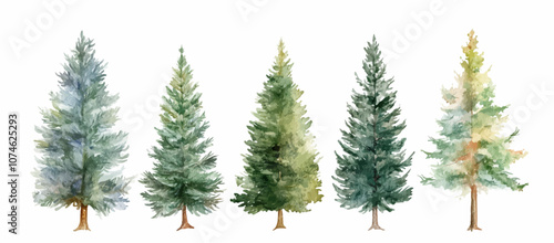 Christmas trees Vector watercolor illustration,Forest, fir trees, pine trees, woods watercolor illustration,festival set