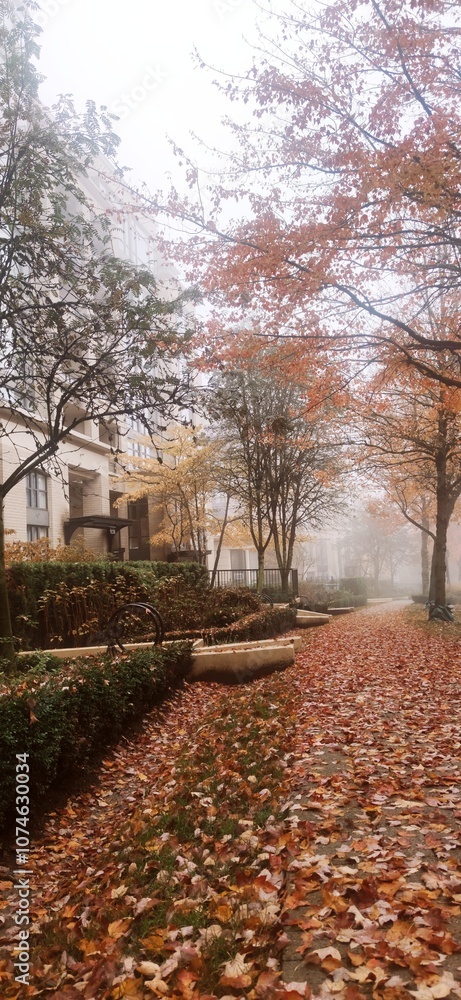 Fototapeta premium autumn in the park