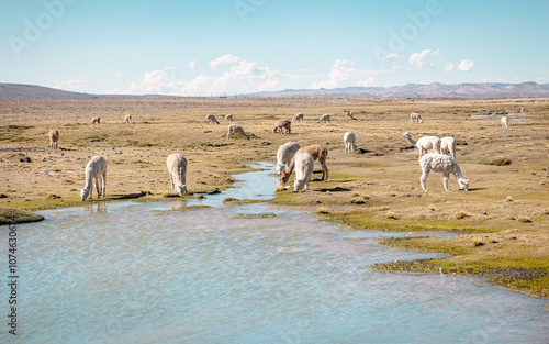 monutmens in peru