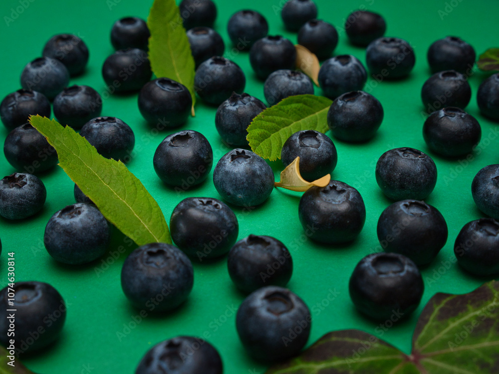 Individual blueberries on a green background are spaced apart in lines Individual blueberries on a green background are spaced apart in lines