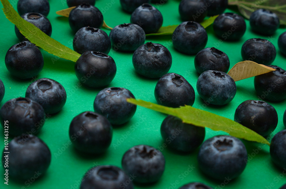Individual blueberries on a green background are spaced apart in lines Individual blueberries on a green background are spaced apart in lines