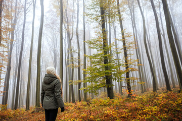 Forest therapy. Woman is feeling positive emotion in misty autumn woodland. Mental wellbeing in nature