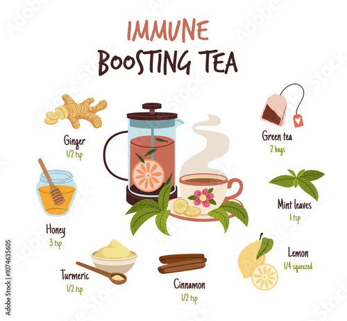 Ginger drink recipe. Immune boosting green tea ingredients, healthy spicy root, cinnamon, honey, lemon and water, beverage with aromatic culinary condiment, traditional medicine, tidy vector concept