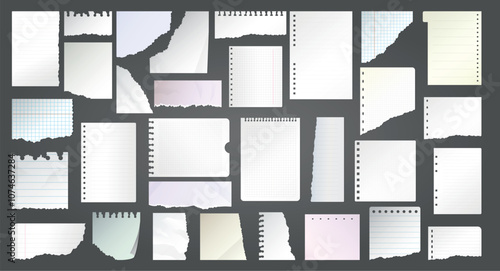 Diary papers. Stripped notes template with different textures recent vector illustration collection