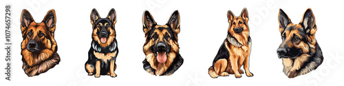 Vector German shepherd dog breed vector set illustration on white background. Cute German Shepherd in full-body, sitting, head, cartoon and realistic. Playful german shepherd breed in different poses.