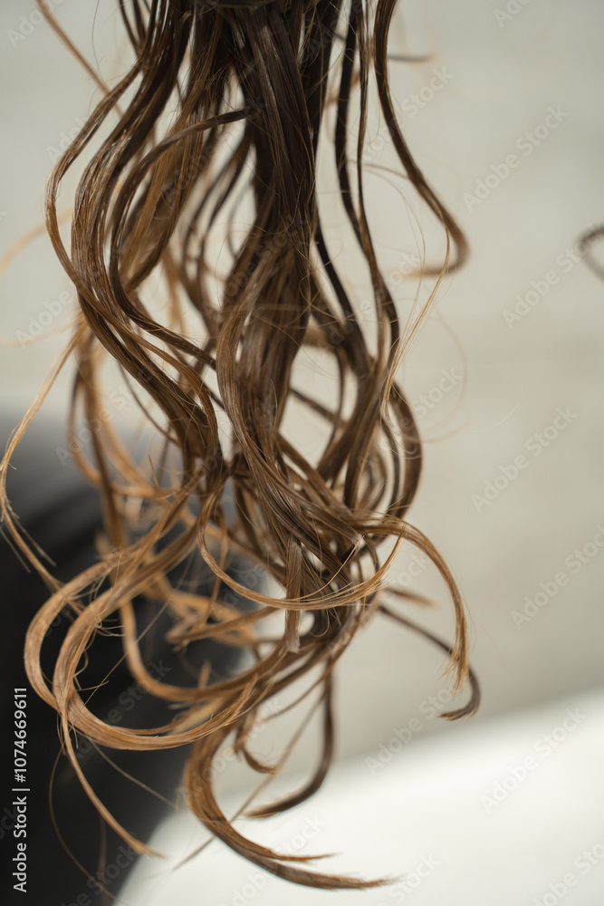 A natural strand of wavy brown hair in hair salon before hair cutting. A natural strand of wavy brown hair in hair salon before hair cutting.