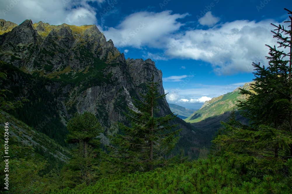 Obraz premium Bielovodska Dolina, Slovakia, White Water Valley, Slovakia