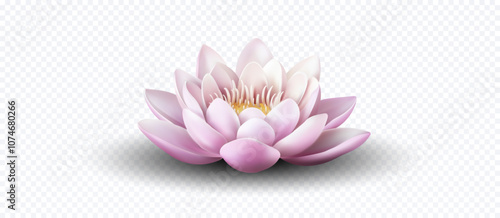 Vector illustration of a realistic pink lotus flower in full bloom, symbolizing purity, peace, and spiritual enlightenment. Ideal for themes of nature, wellness, and meditation