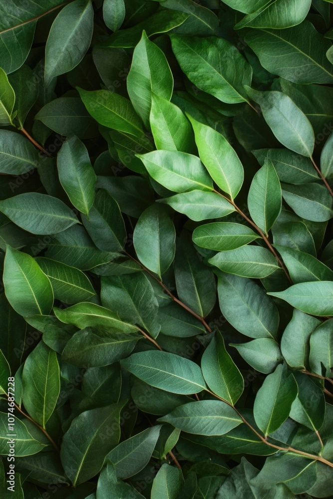 Vivid green leaves creating a dense and textured background.