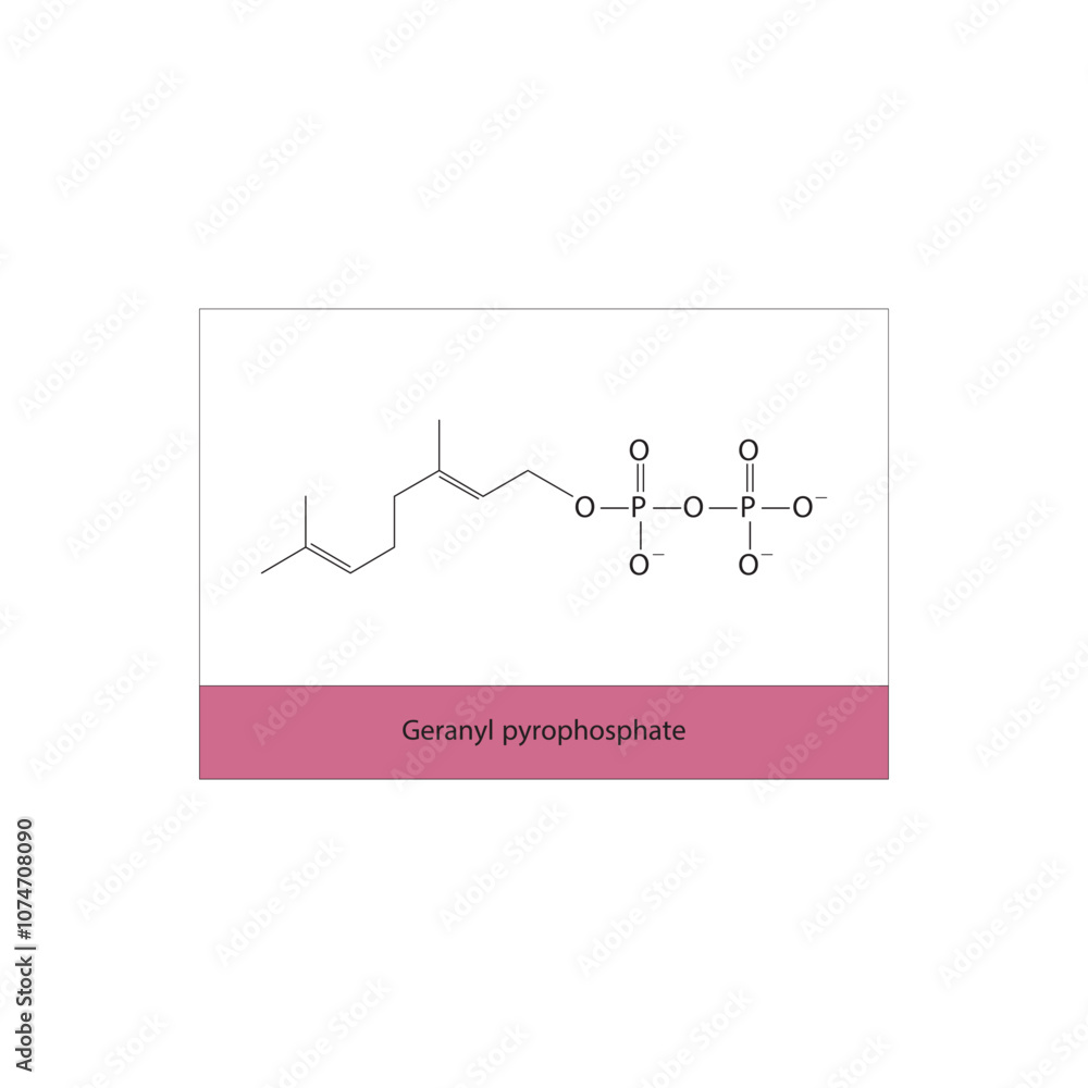 Geranyl pyrophosphate Geranyl pyrophosphate