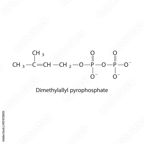 Dimethylallyl pyrophosphate photo