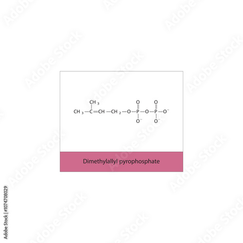 Dimethylallyl pyrophosphate photo