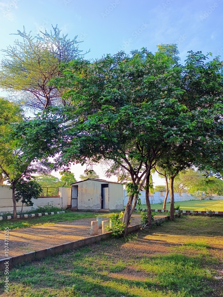 Obraz premium old house in the park