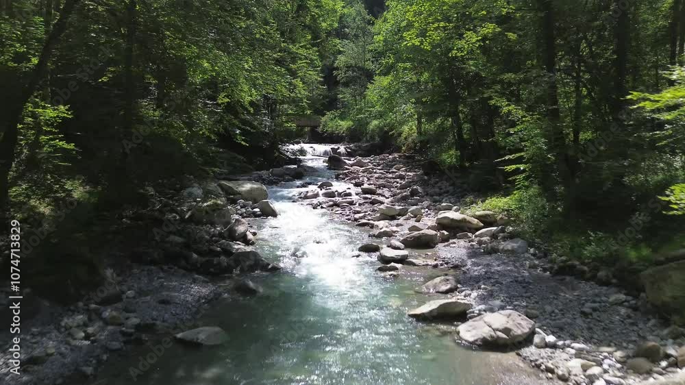 Drone fly over Turquoise Mountain River surrounded by Forest Drone fly over Turquoise Mountain River surrounded by Forest