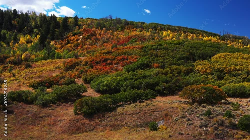 Scenic aerial view of Colorado hill country landscape and forest during autumn in the day time. Scenic aerial view of Colorado hill country landscape and forest during autumn in the day time.