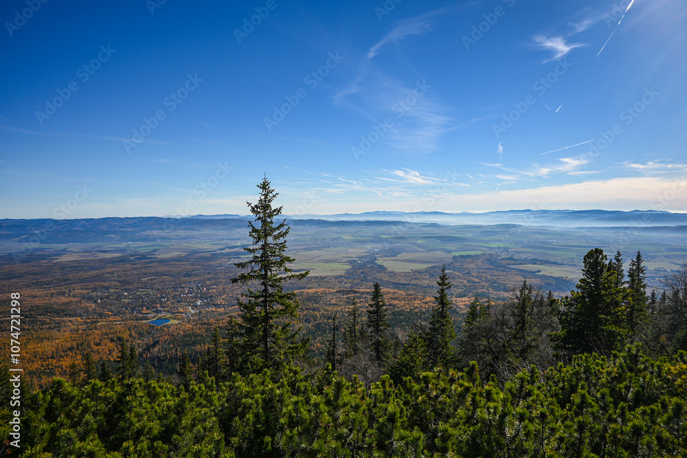 Fototapeta premium Scenic overlook of a vast valley with colorful autumn foliage, evergreen trees, and a clear blue sky