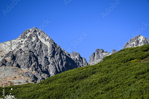 Stunning view of mountain peaks rising above a lush green valley under a clear blue sky in the high tatras