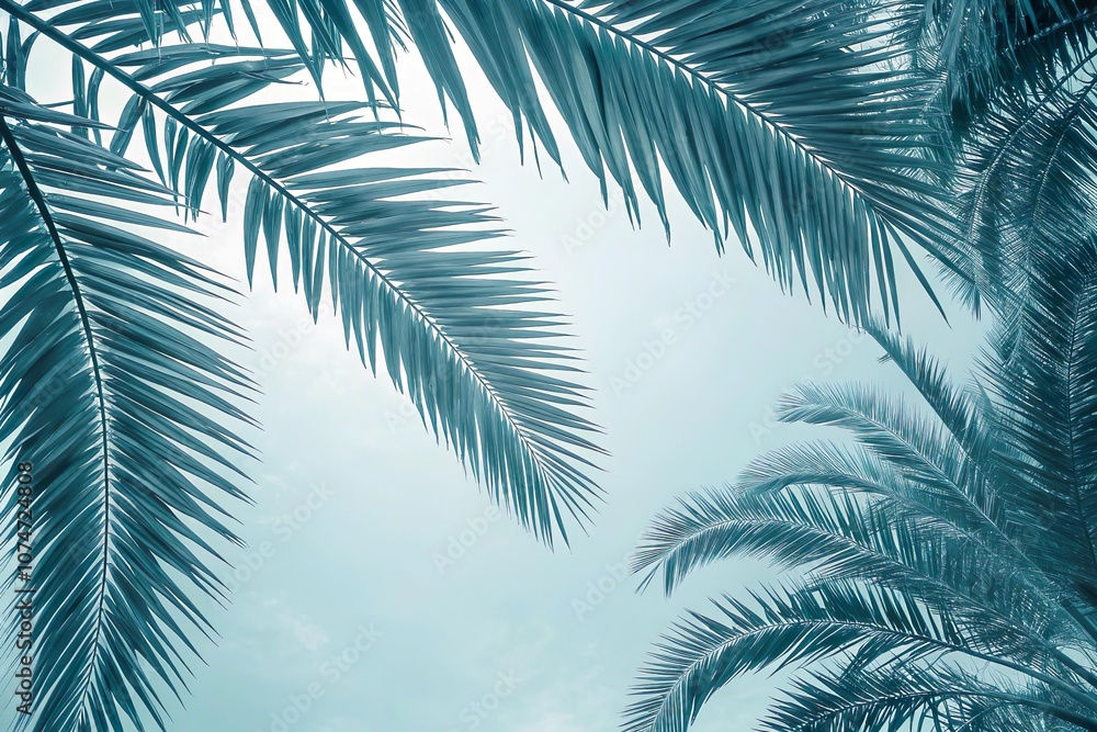 Tropische Palmwedel vor blauem Himmel – Sommerlicher Hintergrund für tropische Designs Tropische Palmwedel vor blauem Himmel – Sommerlicher Hintergrund für tropische Designs