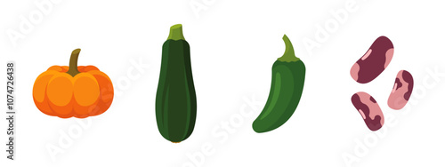 Vegetables set with Pumpkin, Zucchini, Green Jalapeno, Beans; isolated flat illustrations in transparent background