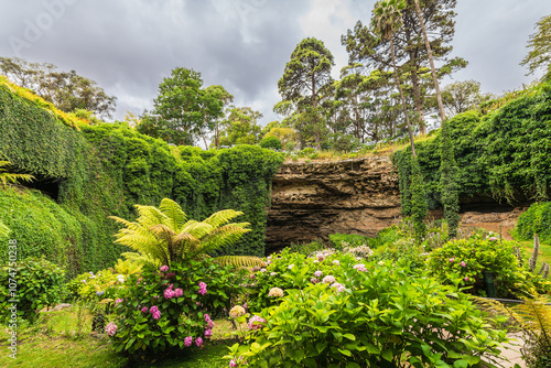 The iconic Umpherston Sinkhole Cave Gardens viewed from the bottom, Mt Gambier, Limestone Coast, South Australia photo