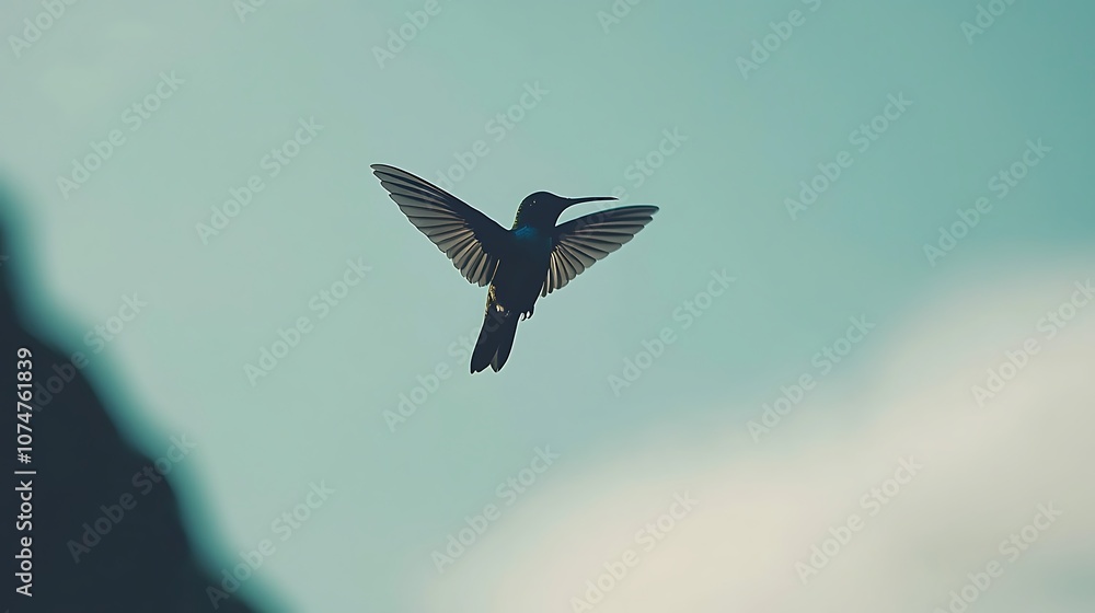 Obraz premium Elegant Hummingbird in Flight Against a Soft Blue Sky, Capturing the Graceful Beauty of Nature’s Most Agile Bird in a Serene Outdoor Setting