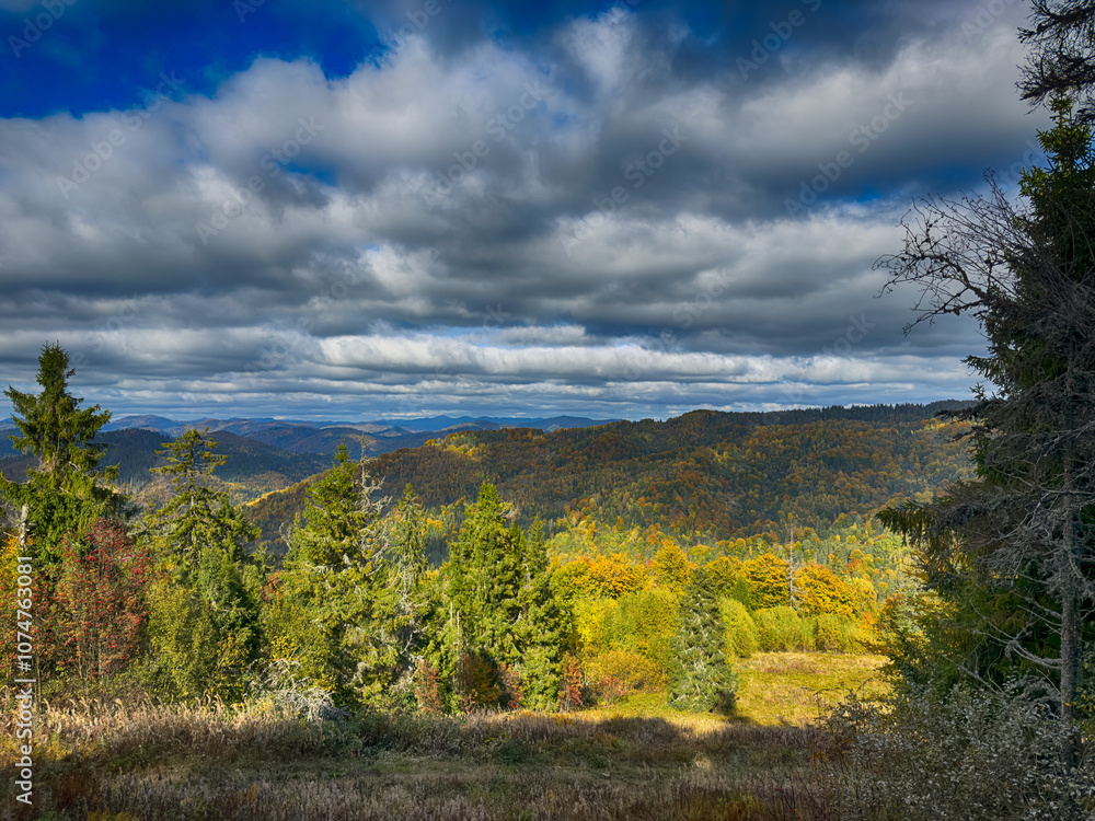 Fototapeta premium The landscape of Carpathian Mountains in the sunny weather. Perfect weather condition in the autumn season