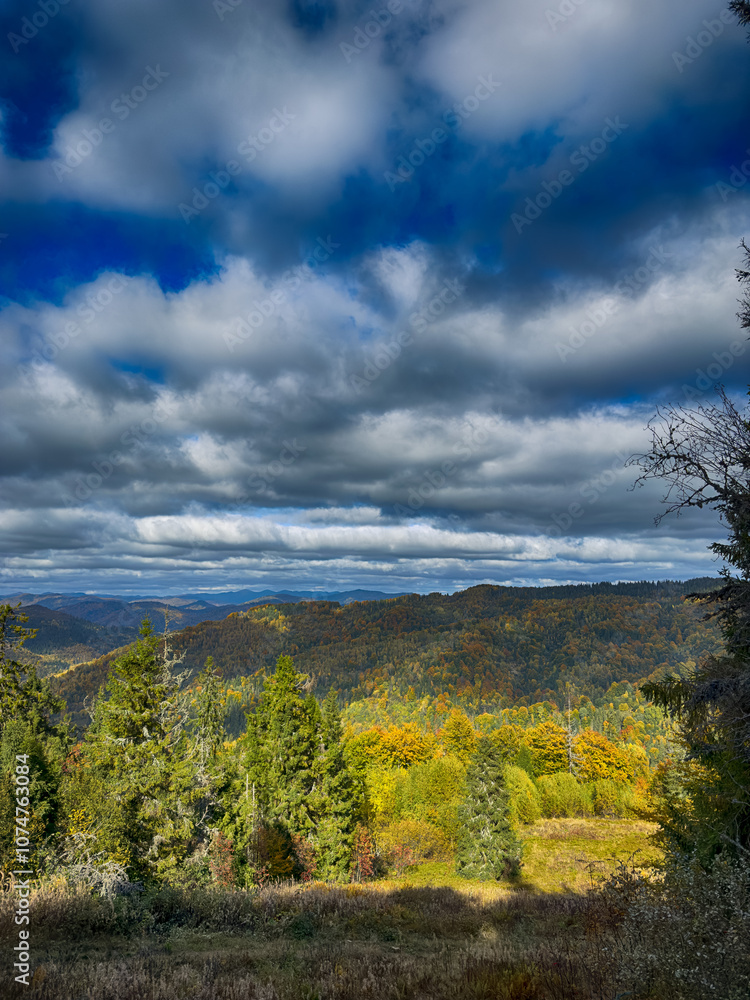Obraz premium The landscape of Carpathian Mountains in the sunny weather. Perfect weather condition in the autumn season