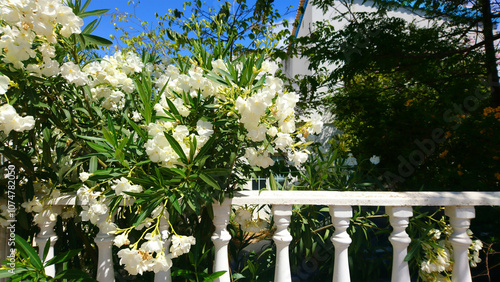 Wallpaper Mural Garten Torontodigital.ca