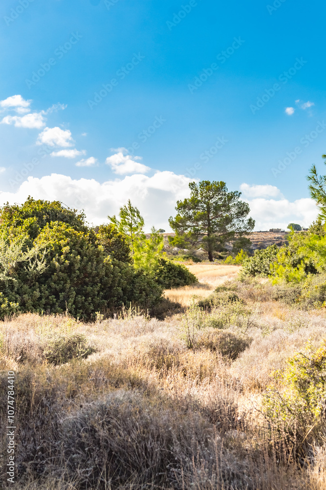 Tranquil Cypriot Landscape: Mountain View with Clear Sky and Sparse Vegetation Tranquil Cypriot Landscape: Mountain View with Clear Sky and Sparse Vegetation