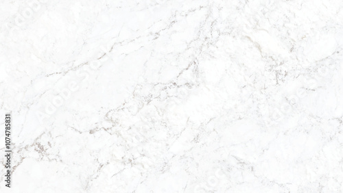 gray marble surface with veins and glossy abstract texture background , gray marble design background. Nature white or gray marble texture with black veins and curly seamless patterns ,