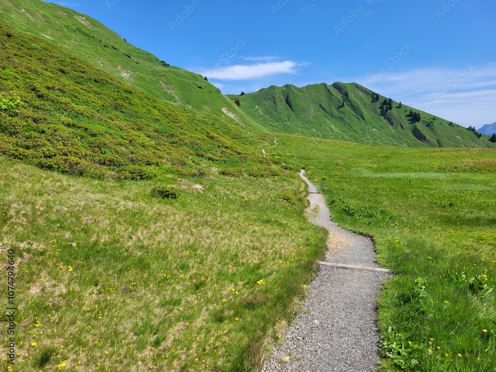 Fototapeta premium Wanderweg unterhalb des Fellhorn in den Allgäuer Alpen bei Oberstdorf 