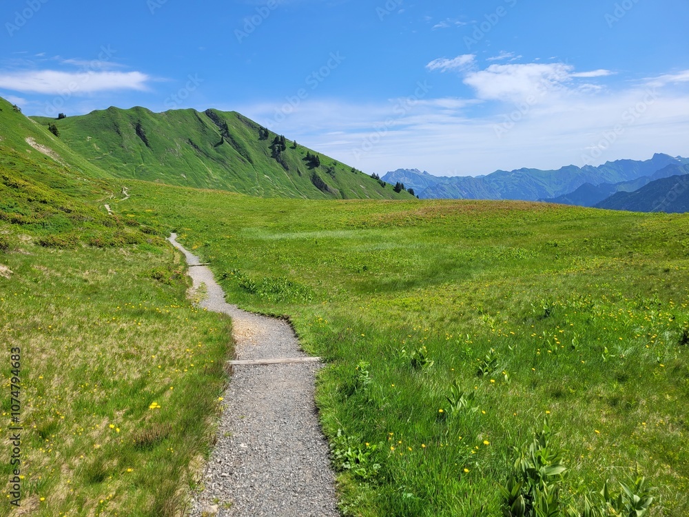 Fototapeta premium Wanderweg unterhalb des Fellhorn in den Allgäuer Alpen bei Oberstdorf 