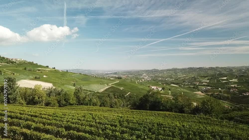 Low flight over vineyards in Piedmont Italy Low flight over vineyards in Piedmont Italy