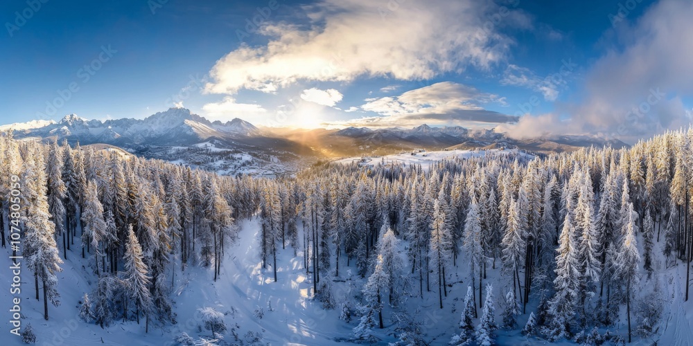 Panoramic drone view of snowy forest Panoramic drone view of snowy forest