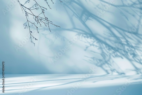 Light blue background with tree shadow for product presentation.