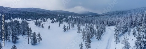 Panoramic drone view of snowy forest