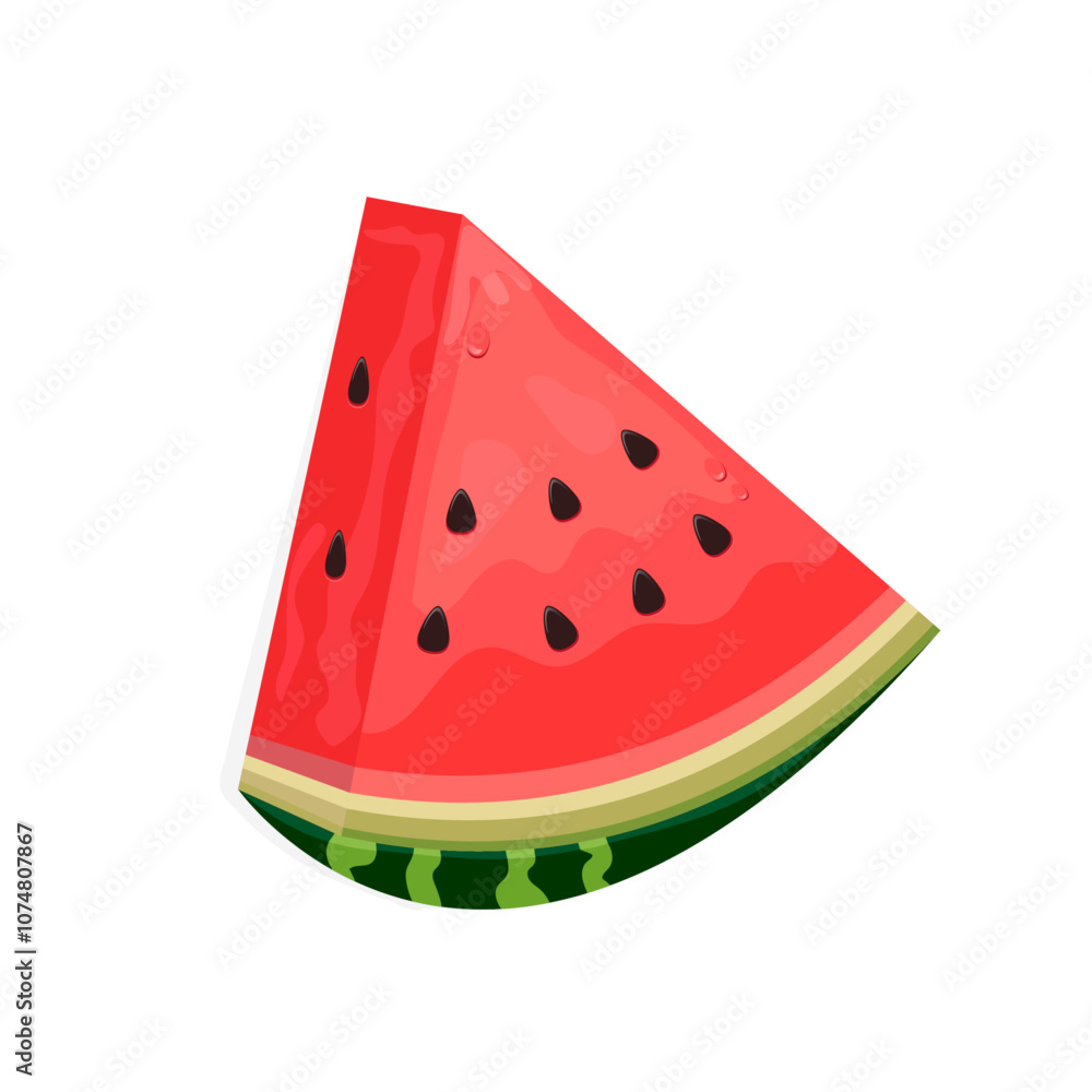 Watermelon vector Watermelon vector