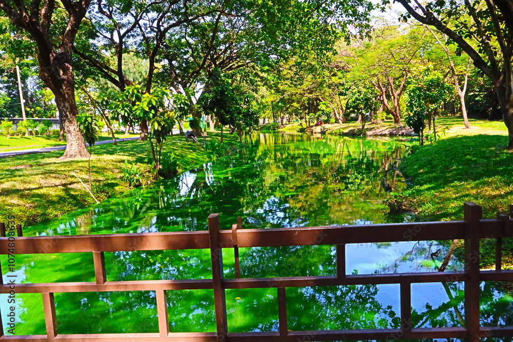 Green tree and lake beautiful nature in garden park Thailand Green tree and lake beautiful nature in garden park Thailand
