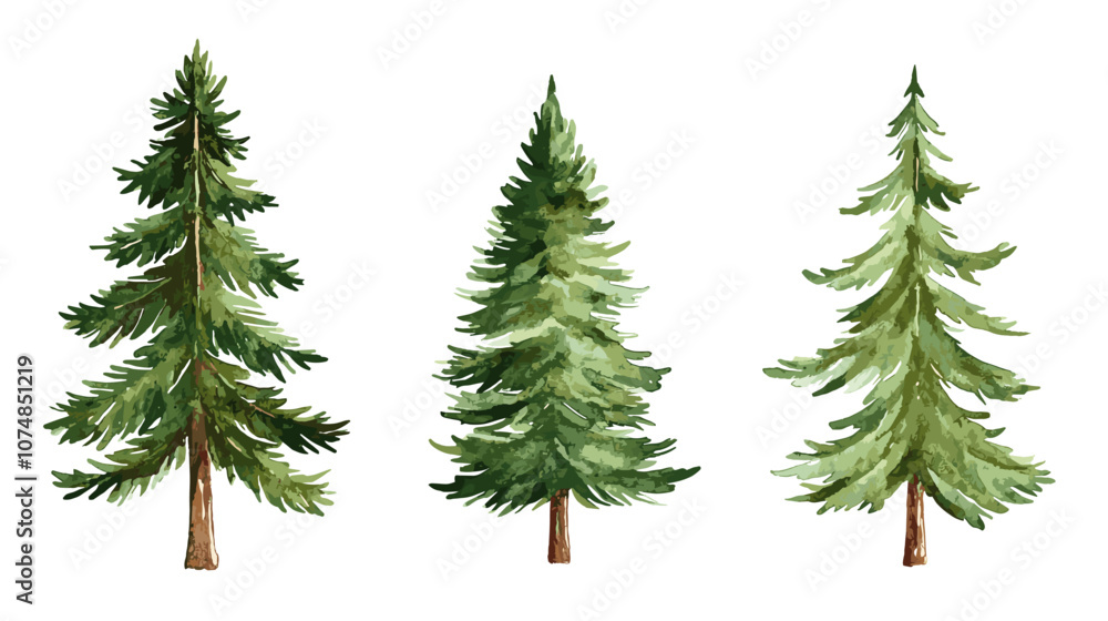Pine tree watercolor Minimal style Side view set of graphics trees elements outline symbol for architecture and landscape design. Vector illustration transparent background Pine tree watercolor Minimal style Side view set of graphics trees elements outline symbol for architecture and landscape design. Vector illustration transparent background