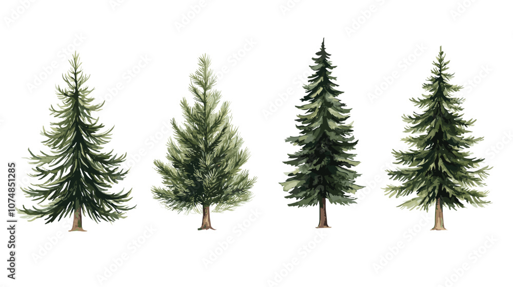 Pine tree watercolor Minimal style Side view set of graphics trees elements outline symbol for architecture and landscape design. Vector illustration transparent background Pine tree watercolor Minimal style Side view set of graphics trees elements outline symbol for architecture and landscape design. Vector illustration transparent background