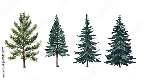 Pine tree watercolor Minimal style Side view set of graphics trees elements outline symbol for architecture and landscape design. Vector illustration transparent background
