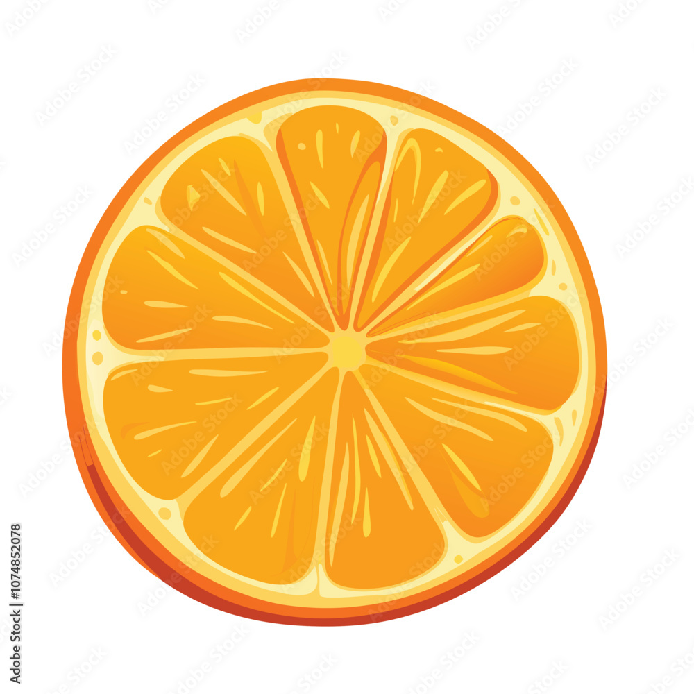 Vector Cartoon Orange Fruit Round Slice illustration Vector Cartoon Orange Fruit Round Slice illustration