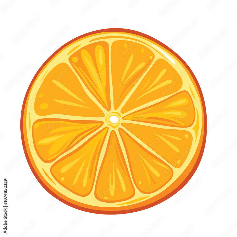 Vector Cartoon Orange Fruit Round Slice illustration Vector Cartoon Orange Fruit Round Slice illustration