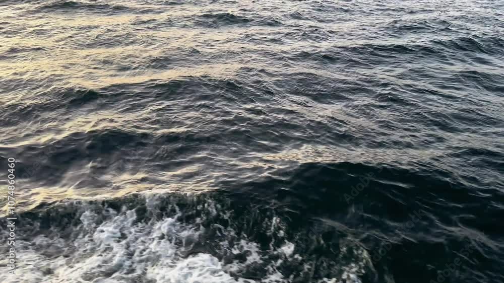 Ocean Waves
Ocean Waves