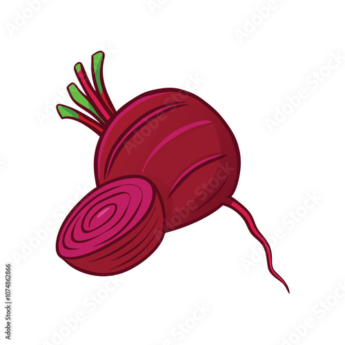 Vector Cartoon Red Beetroot Illustration