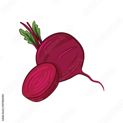 Vector Cartoon Red Beetroot Illustration