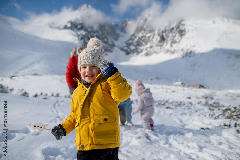 Naklejka premium Portrait of boy enjoying winter holiday in the mountains with family, playing in snow, having snowball fight.